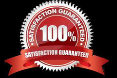 Brain Function – Ginkgo Biloba Extract 120mg – Helps Maintain Vision Pills 3B