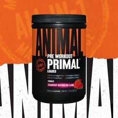 Animal Primal Pre Workout Strawberry Watermelon 25 Servings Energy Endurance