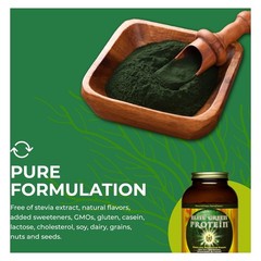 HealthForce SuperFoods Elite Green Protein Mesquite 500g Powder