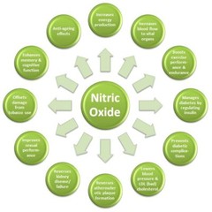 Whey protein powder – NITRIC OXIDE 2400 Mg – 1B – for increasing blood flow
