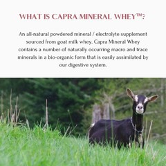 Mt. Capra Mineral Whey | A Whole Food, Bio-Available Mineral/Electrolyte Pow…