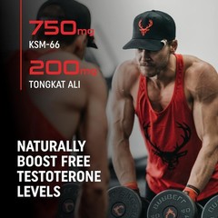 Bucked Up RUT Testosterone Booster 90 caps (pack of 1