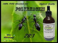 100% PURE WILD Mountain Ant Vic. Roger Polyrhachis 20:1 tincture/Extract 4oz