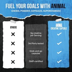 Animal CREATINE Bulk Size Micronized Monohydrate 300 Capsules – 150 Servings