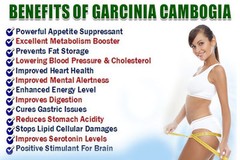 Fat Burner Belt For Women – Garcinia Extract 60% 1300mg – Garcinia Excel 2B