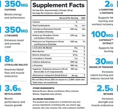LEGION Pulse+ BURN Pink Lemonade – High Stim Pre Workout NO Booster, L-Carnitine