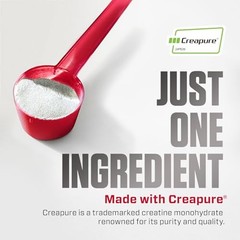 Creatine Monohydrate Powder 300g 60 Servings 5g Gluten Free