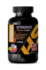 blood sugar ultra – ASTRAGALUS COMPLEX – holy basil alcohol free 1 BOTTLE