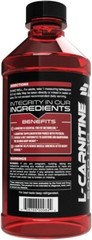 Earth’s Creation Liquid Carnitine 5000 With CLA Bundle