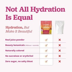 Hydration Lemonade Electrolyte Powder Drink Mix – Strawberry Dragonfruit