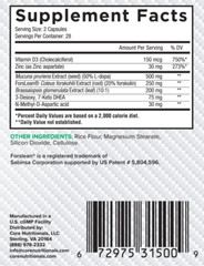 CORE NUTRITIONALS – CORE ALPHA – ULTRA-POTENT Natural Hormone Optimizer