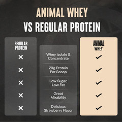 100% Whey Protein Powder – Whey Blend for Pre or Post Workout, Recovery, Anytime