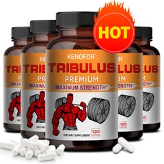 Tribulus Terrestris Capsules – Enhance Male XL, Extend Duration, No Side Effects