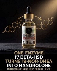 19 Nandro 2 Step Precursor 2 Deca DHEA 4 Size/Strength By Vintage Muscle 💪🏛️🧪