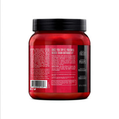 BSN N.O.-XPLODE Pre Workout Powder Grape Energy Focus Endurance 30 Servings