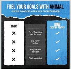 Animal 100% Pure Creatine Monohydrate Powder, Unflavored, 10.58 oz (300 g)