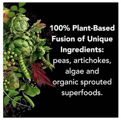 Plant Fusion Complete Protein, Rich Chocolate, 5 lb (2.25 kg)