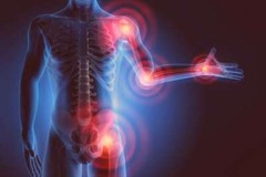 joint flex – JOINT MATRIX COMPLEX – selenium vitamin e 2B