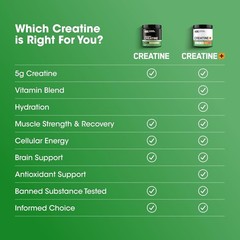 Optimum Nutrition creatine micronized creatine monohydrate power 5g per Serving,