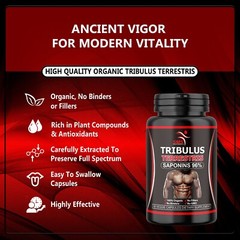 TRIBULUS TERRESTRIS 96% SAPONINS EXTRACT MUSCLE WORKOUT SUPPLEMENTS 120 Capsules