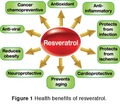 Blood pressure diet – RESVERATROL – ACAI BERRY COMBO – acai extract pills