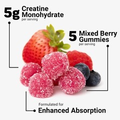 Fast-Absorbing Mixed Berry Creatine Gummies – 5g Dose for Strength, 150 Count