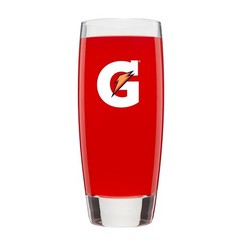 Gatorade G2 Thirst Quencher Sports Drink, Fruit Punch, 12 Fl Oz (Pack of 12)