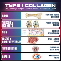 NewTrition 17,000mg Marine Collagen Protein Shots – 22 Amino Acids – B12 – 24 Ct
