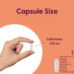 BESTVITE LGlutamine 500mg per Capsule 240 Capsules No Dicalcium Phosphate N…