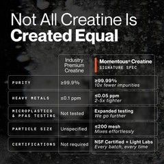 Creatine Monohydrate Powder – Supports Strength, Lean Muscle & Recovery – 90 Ser