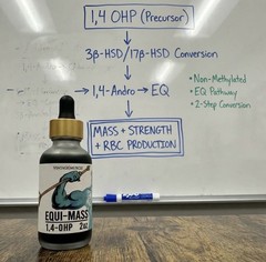 Equimass 2 Step Precurs. 2 BoldenoneEquipose Mass Gainer By Vintage Muscle💪🌊🔱