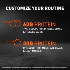 Body Fortress Super Advanced 100% Premium Whey Protein Powder – Choose Flavor
