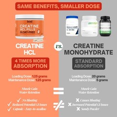 Creatine HCL Capsules – 150 Pills | 150 Count (Pack of 1), Red