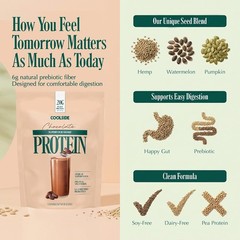 Coolside Superfood Vegan Protein Powder Chocolate 20g Plant Based 15 Servings