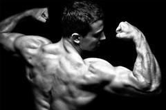 NITRIC OXIDE POWER – Muscle Growth – athletic Endurance & Recovery 2400mg 2B