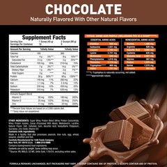 Body Fortress 100% Premium Whey Protein Powder Chocolate Immune Support 1.74 lbs