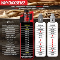 Panax Ginseng Support Supports Muscle Growth Increased Energy 120 Capsules