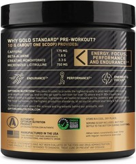 Vitamin D Infused Gold Standard Pre-Workout – 30 Servings, Creatine & Caffeine