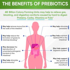 Probiotics -Improve Bloating, Gas and Constipation Provide Longer-lasting Energy