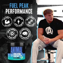 Animal Creatine Chews – Enhanced 120 Count (Pack of 1), No Color