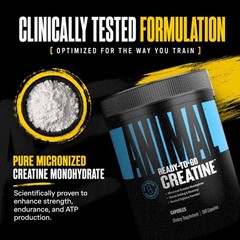 Micronized Creatine Monohydrate Capsules – 300 Caps, 2500mg per Serving to Su…