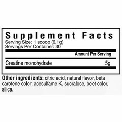 Cybergenics Creatine Monohydrate Electrolytes Powder Orange 6.45 oz Exp 01/28