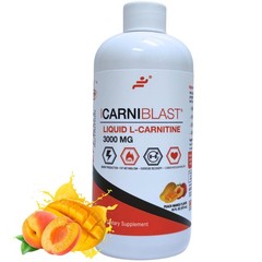 Bricker Labs CARNIBLAST Liquid L-Carnitine 3000mg 16 Fl Oz (Pack of 1)