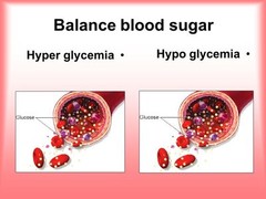 The blood sugar solution – BLOOD SUGAR CONTROL FORMULA – Guggle – 3 Bottles