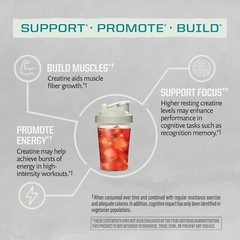 Sunwarrior Creatine Monohydrate Powder | Pre Workout, 300 Grams, 60 Servings