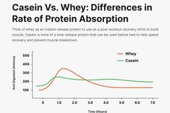 Protein powder, Hydrolyzed Whey Protein Isolate, plain, 1 pound, Puriva Nutritio