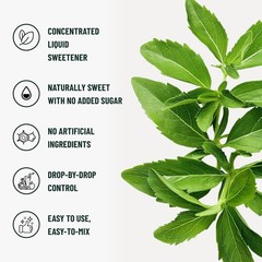 Natrisweet Liquid Stevia Drops Pure Sweetener from Stevia Extract, Plant-Based S