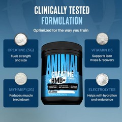 Animal Creatine HMB Powder – 3g myHMB + 5g Creatine with Electrolytes for Rec…
