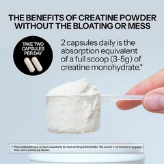 Creatine +, High Absorption Capsules, 60 Count, Non-GMO, Gluten Free, Soy Free