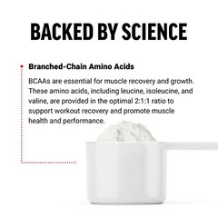 FORCE FACTOR BCAA Powder 2:1:1 ratio, Amino Acid Supplement, 30 Servings